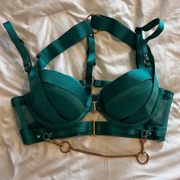 Honey Birdette kukuro jade full set - bra 34DD panties and suspenders M - Picture 2 of 8